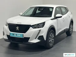 Blanc Utilisé 2020 Peugeot 2008 Active SUV | 11 790 € (Bon prix)