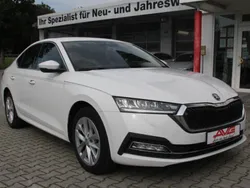 Utilisé 2023 Skoda Octavia Berline | 23 950 € (Super prix)