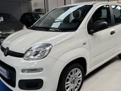 Utilisé 2018 Fiat Panda Pop Citadine | 7 890 € (Bon prix)