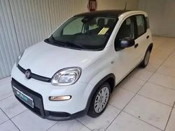 Noir Utilisé 2025 Fiat Panda Classica Citadine | 15 490 € (Prix juste)