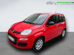 Utilisé 2020 Fiat Panda Citadine | 13 400 € (Prix juste)