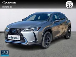 Gris Utilisé 2023 Lexus UX 250h SUV | 27 990 € (Bon prix)