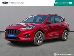 Rouge Utilisé 2024 Ford Kuga ST-Line SUV | 26 890 € (Bon prix)