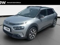 Gris Utilisé 2019 Citroën C4 Cactus Shine Citadine | 11 990 €