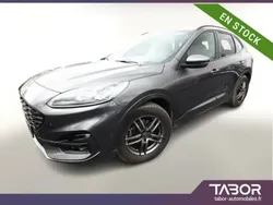 Gris Utilisé 2021 Ford Kuga ST-Line X SUV | 20 988 € (Bon prix)