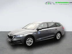 Utilisé 2024 Skoda Octavia Berline | 32 900 € (Prix juste)
