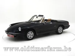 Autres Utilisé 1988 Alfa Romeo Spider Cabriolet | 15 950 €