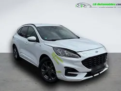 Utilisé 2020 Ford Kuga SUV | 23 900 € (Bon prix)