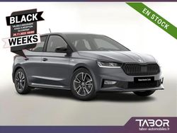 Gris Occasion 2024 Skoda Fabia | 24 996 € (Prix juste)