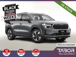 Gris Nouvelle 2025 Skoda Kodiaq SUV | 40 425 € (Bon prix)