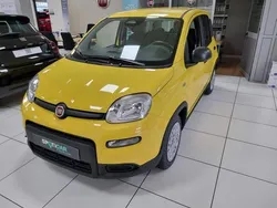 Jaune Utilisé 2025 Fiat Panda Classica Citadine | 15 490 € (Prix juste)