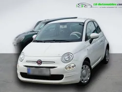 Utilisé 2019 Fiat 500 Citadine | 16 700 € (Prix assez cher)