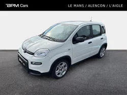 Utilisé 2024 Fiat Panda S Citadine | 13 450 € (Prix assez cher)