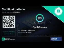 Gris Utilisé 2024 Opel Corsa-e Citadine | 18 999 € (Bon prix)