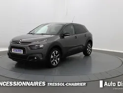 Gris Utilisé 2019 Citroën C4 Cactus PureTech Citadine | 9 159 € (Prix juste)
