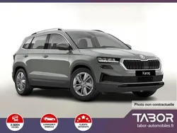 Gris Nouvelle 2025 Skoda Karoq SUV | 34 562 € (Prix juste)