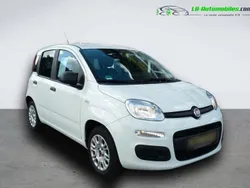 Utilisé 2019 Fiat Panda Citadine | 12 400 € (Prix assez cher)