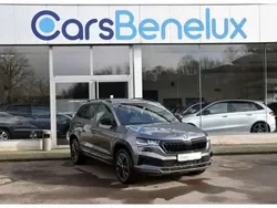 Gris Nouvelle 2024 Skoda Karoq SportLine SUV | 36 902 € (Prix juste)