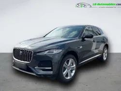 Utilisé 2021 Jaguar F-Pace SUV | 51 500 € (Super prix)