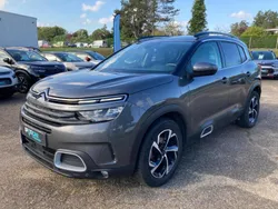 Doré Utilisé 2019 Citroën C5 Aircross Feel SUV | 15 990 € (Prix assez cher)