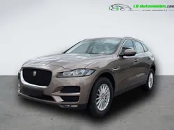 Utilisé 2017 Jaguar F-Pace SUV | 29 200 € (Prix juste)