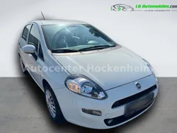 Utilisé 2015 Fiat Punto Citadine | 8 900 € (Prix assez cher)