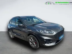 Utilisé 2023 Ford Kuga SUV | 28 400 € (Prix juste)