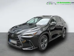 Utilisé 2025 Lexus NX350h | 75 000 €