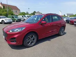 Rouge Utilisé 2024 Ford Kuga ST-Line SUV | 30 499 € (Prix juste)