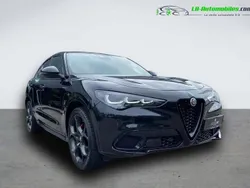 Utilisé 2024 Alfa Romeo Stelvio SUV | 43 400 € (Prix juste)