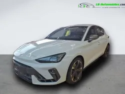 Utilisé 2024 Cupra Leon Citadine | 34 500 € (Prix cher)