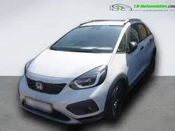 Utilisé 2025 Honda Jazz Citadine | 34 400 € (Prix cher)