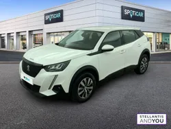 Gris Utilisé 2021 Peugeot 2008 Business-Line SUV | 11 990 € (Bon prix)