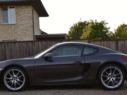 Brun Utilisé 2013 Porsche Cayman Coupé | 51 950 € (Prix assez cher)