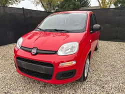 Rouge Utilisé 2018 Fiat Panda Easy Citadine | 6 490 € (Bon prix)