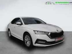 Utilisé 2023 Skoda Octavia Berline | 27 000 € (Prix juste)