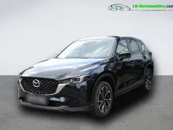 Utilisé 2022 Mazda CX-5 SUV | 36 000 € (Prix cher)