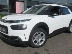Utilisé 2019 Citroën C4 Cactus Business Class Citadine | 10 690 € (Prix juste)