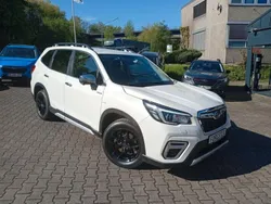Utilisé 2020 Subaru Forester SUV | 26 990 € (Prix juste)