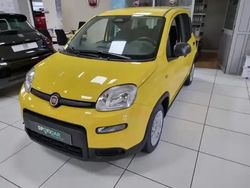 Jaune Utilisé 2025 Fiat Panda Classica Citadine | 15 490 € (Prix juste)
