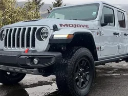 Utilisé 2022 Jeep Gladiator SUV | 47 735 € (Prix assez cher)