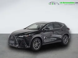 Utilisé 2023 Lexus NX450h+ SUV | 52 200 € (Bon prix)
