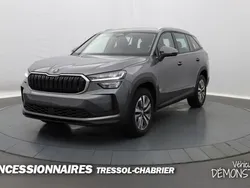 Gris Utilisé 2025 Skoda Kodiaq Selection SUV | 47 990 € (Prix cher)