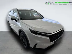 Utilisé 2024 Honda CR-V SUV | 47 500 € (Prix juste)