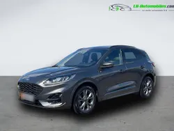 Utilisé 2024 Ford Kuga SUV | 28 900 € (Bon prix)