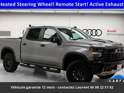 Gris Utilisé 2024 Chevrolet Silverado SUV | 103 986 €