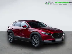 Utilisé 2024 Mazda CX-30 SUV | 37 000 € (Prix cher)