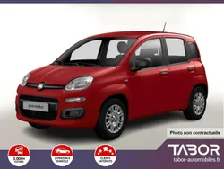 Rouge Nouvelle 2025 Fiat Panda Citadine | 13 864 €
