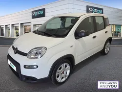 Noir Utilisé 2024 Fiat Panda S Citadine | 11 490 € (Prix juste)