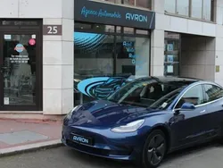 Bleu Utilisé 2019 Tesla Model 3 Standard Range Berline | 20 990 € (Bon prix)